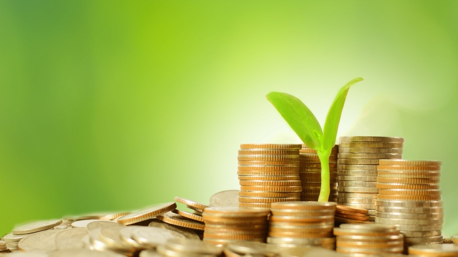 高考冲刺季 勿忘呵护“心灵之窗”